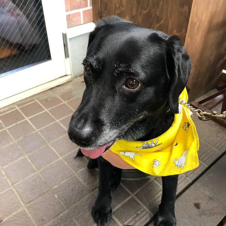 2ce536d8 4534 44ec a8ee 5936bb028fab 1560058677330