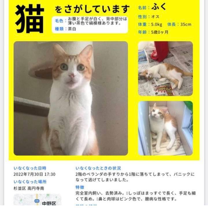 2ce54022 274c 41a8 a44d 326818b5c33e 1659309927770