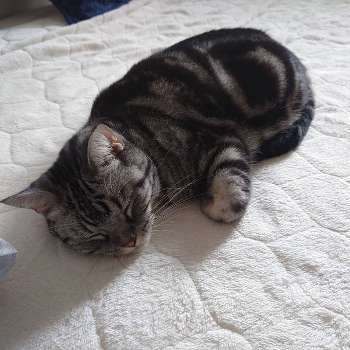 2ce54891 f32c 4070 8f18 7a7d3a1ffd4d 1631932043832