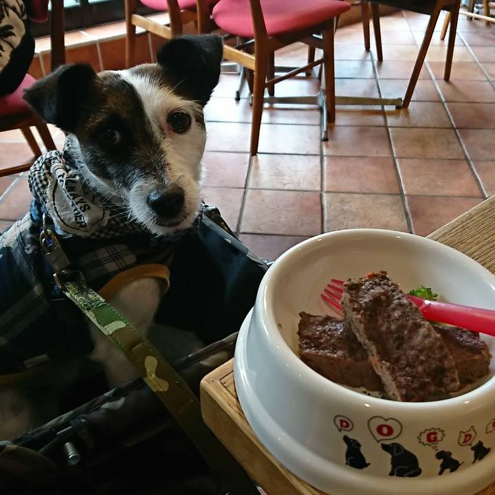 2ce55a82 6ccb 4a4d 8950 53ca5602022b 1527050959983