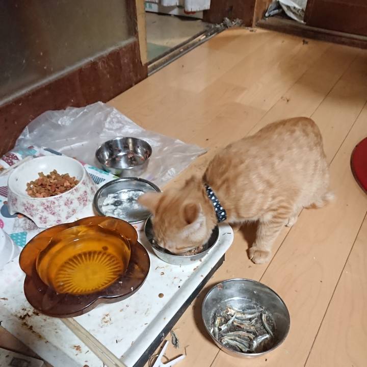 2ce56513 3895 4986 886b e6bcc2dd9815 1634378078936