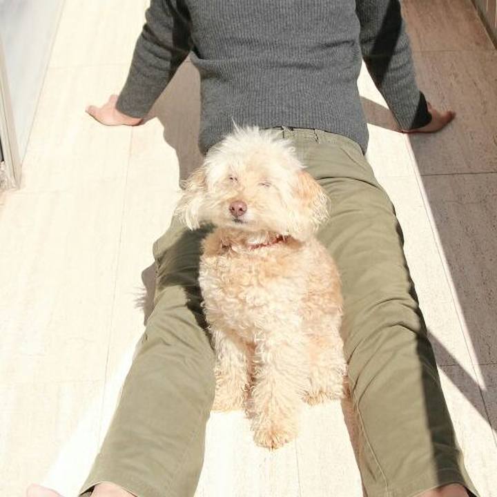 2ce56a8a b4e9 4392 abc1 c8f6f8e68d77 1585485214992