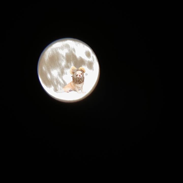 2ce58b87 383f 4d12 a327 a5948e65df36 1662811498012