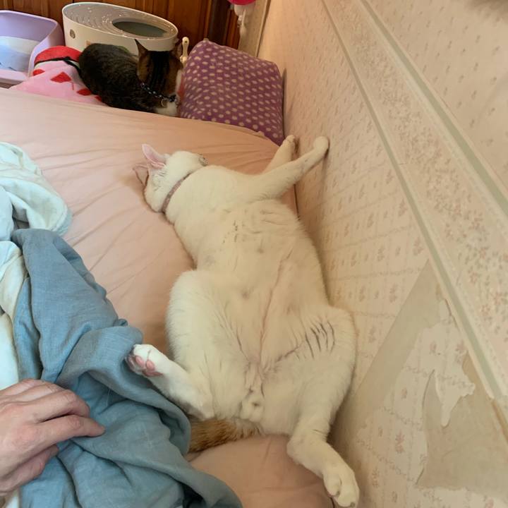 2ce59747 28d7 47f5 82dd b74eece8fc6a 1591563854374