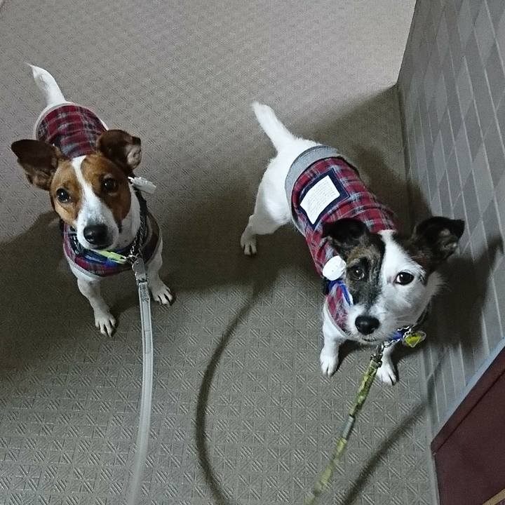 2ce59ca9 9040 45b2 887d 300d91286189 1573739010106