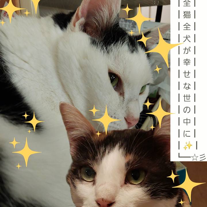 2ce5b1f6 5215 46c4 90a9 72ec38bf3d6f 1751926936020