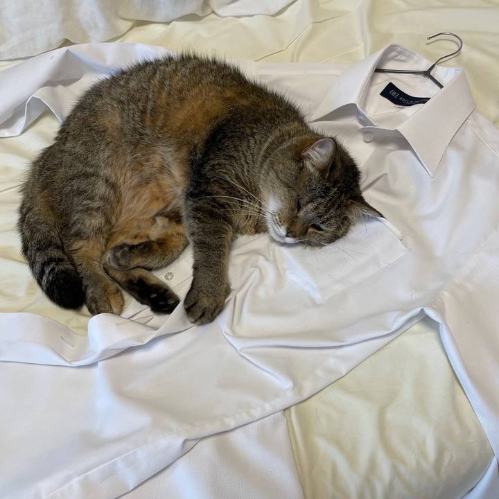 2ce5d74a 6874 42bd bb86 7736c767b4c3 1747555584464