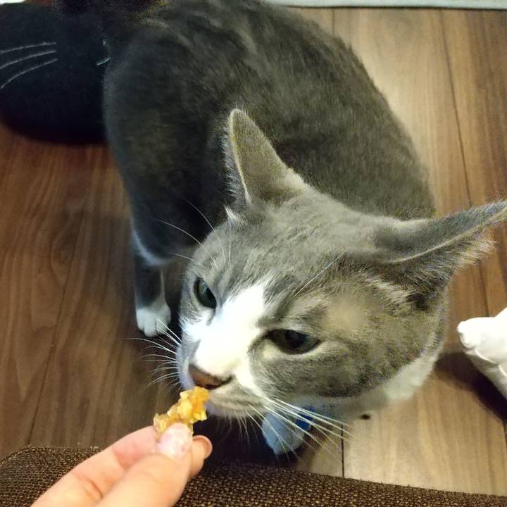 2ce5d7a0 b09f 4b2e 93fa 743b8fbd2ab1 1617053630186