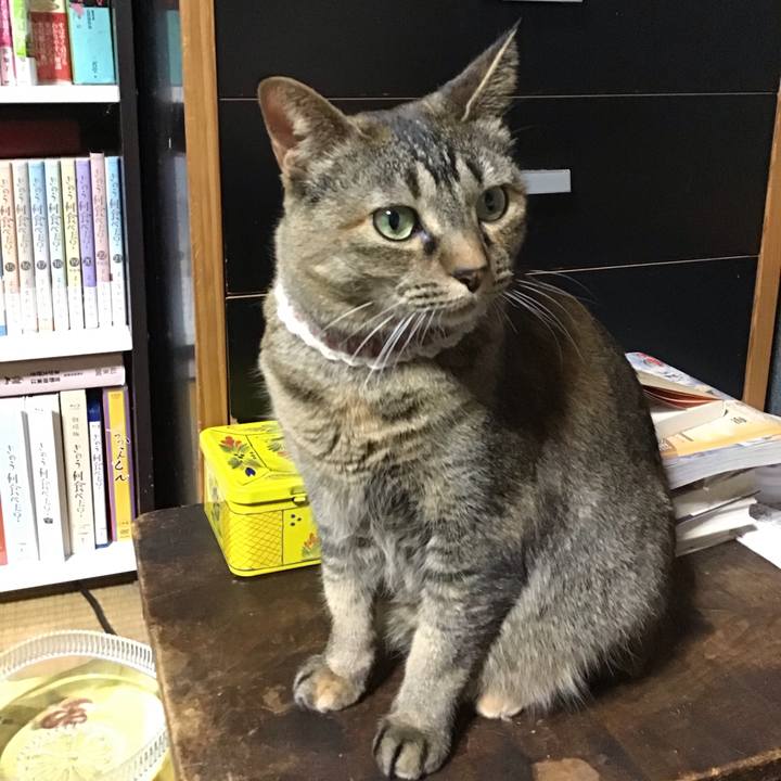 2ce5d9ed 0e3f 4ff9 9be0 1b5413702a1b 1712919746506