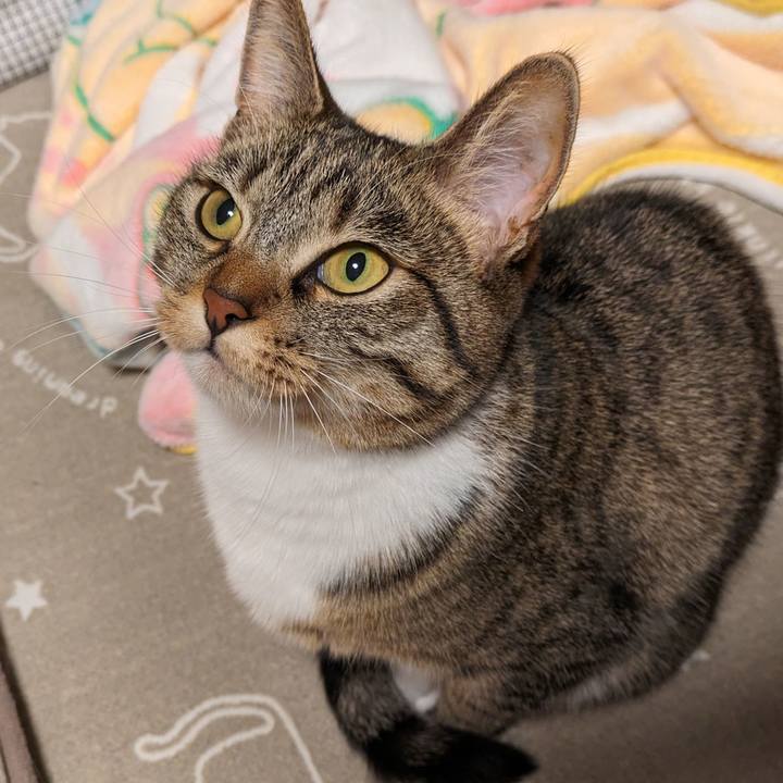 2ce63ebd 62c4 4c72 bbd5 6606614b0ab5 1704857278617