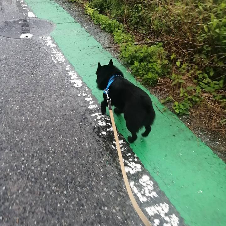 2ce6408a 3826 4d89 aad8 6f7ca23f8cc5 1621198998736