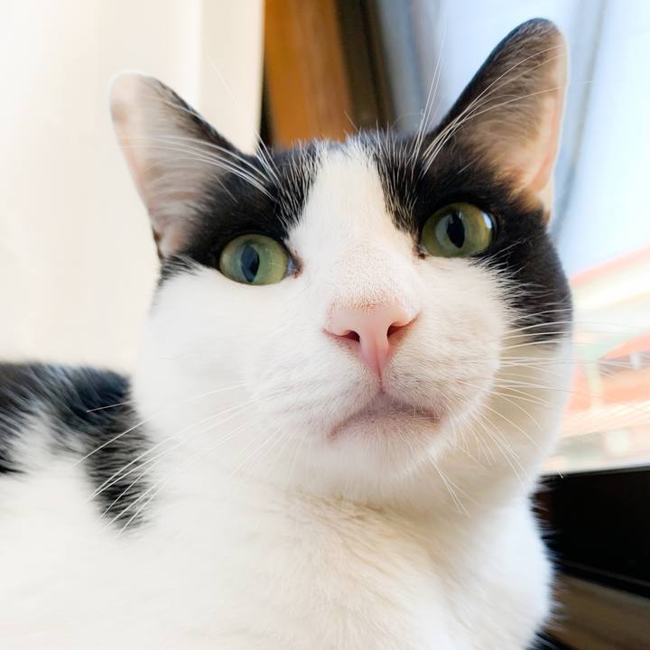 2ce652a0 9c9b 4191 85fd 01c022400626 1567473912051