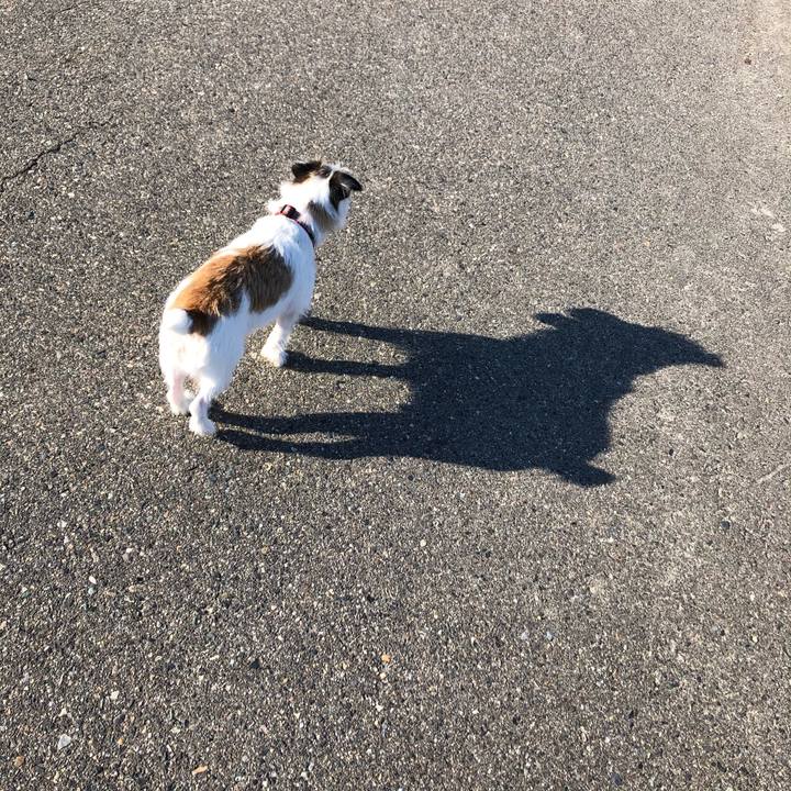 2ce6724d 38a9 4582 bf59 0fb6f6216ee3 1600814814547