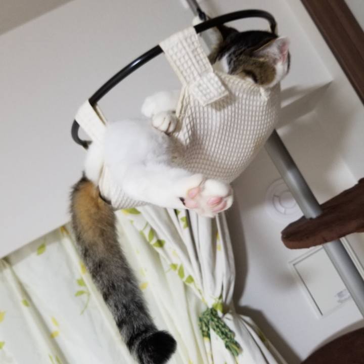 2ce6971a e6a5 4009 bba4 e9dfad3a765d 1599432667423