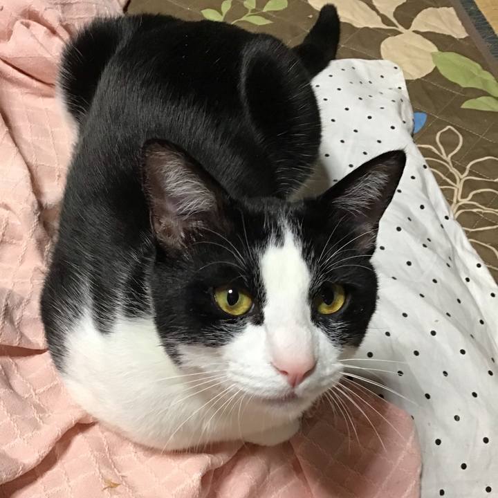 2ce6a18d 0905 497b b118 324acf5ebbfe 1650708647021