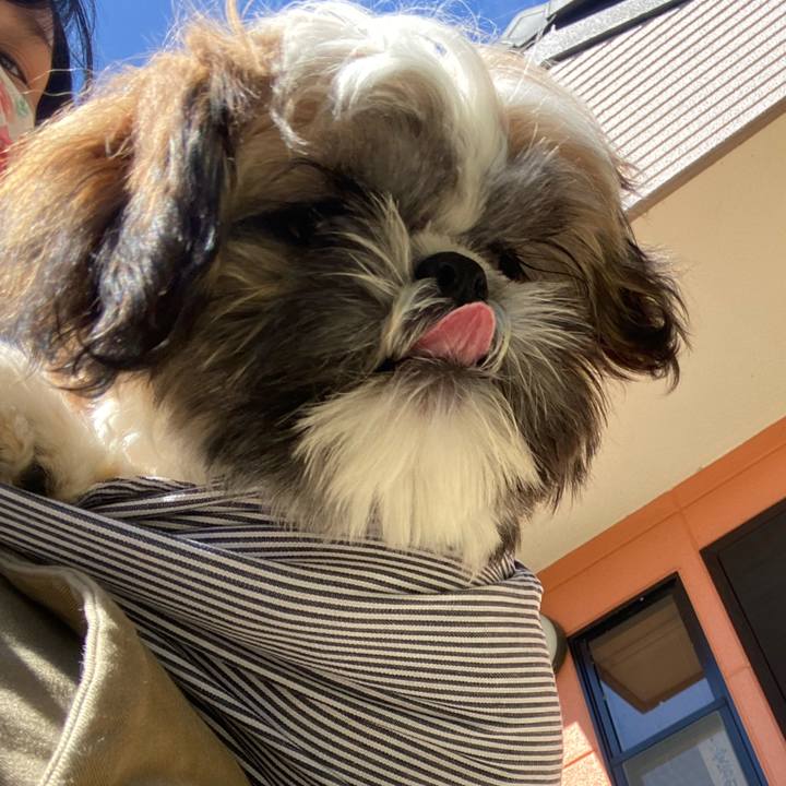 2ce6d821 a29a 4bc3 91a7 375c18a9c240 1632750579333