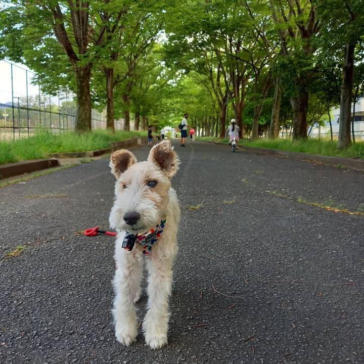 2ce6e4af cd64 45e9 9623 d9bca50321ea 1622280683345