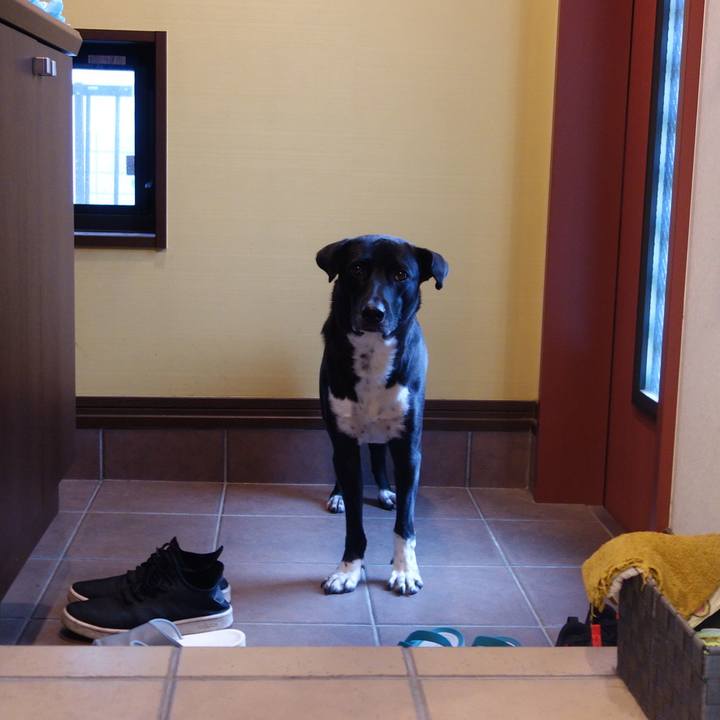 2ce74377 a856 420b 9508 9b377035ebe9 1603066145857