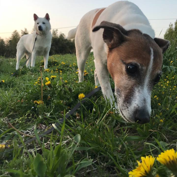 2ce768b0 193b 44ac 9152 9b49d1c5b133 1522759223565