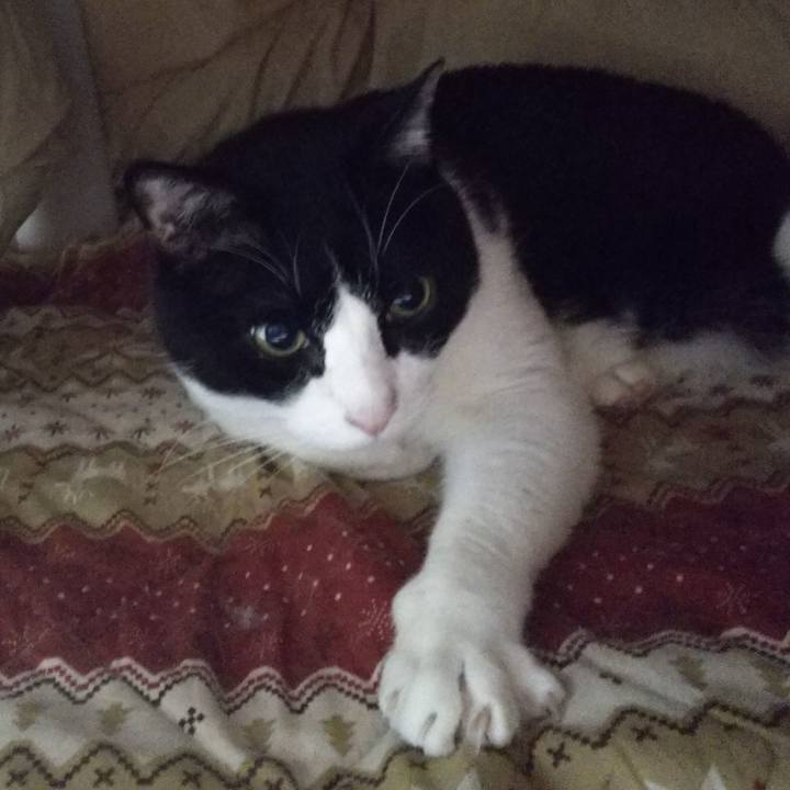 2ce78391 2c68 41bf 987a 39cd279fac57 1546811672235