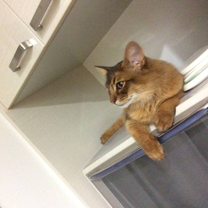 2ce79dc5 abe6 4b4a 8392 76d70dcbca43 1589001421104