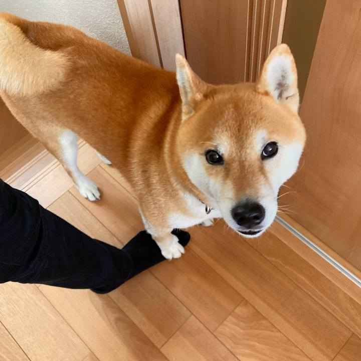 2ce7a577 7b12 49fe a71b 3f843e8351d3 1681176976434