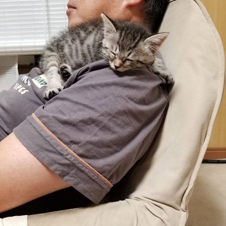 2ce7c523 b3c1 4c8d 81d6 24c23bc5e281 1662205984534