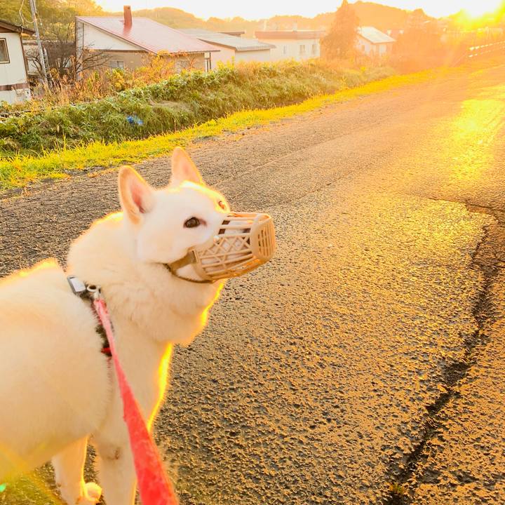 2ce7ffc4 0113 4e85 86be f681407eee5b 1604012174151