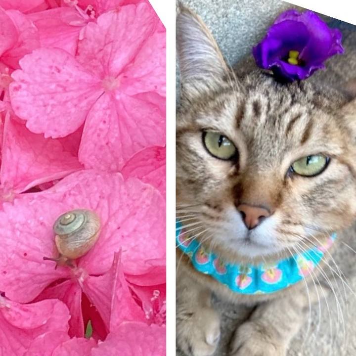 2ce80107 4931 492d a970 e1d8bce88dc4 1719623059564