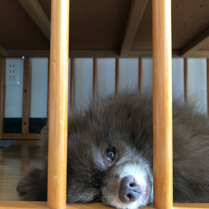 2ce807e9 e03e 47de b451 aa54a6f213bc 1565330114773