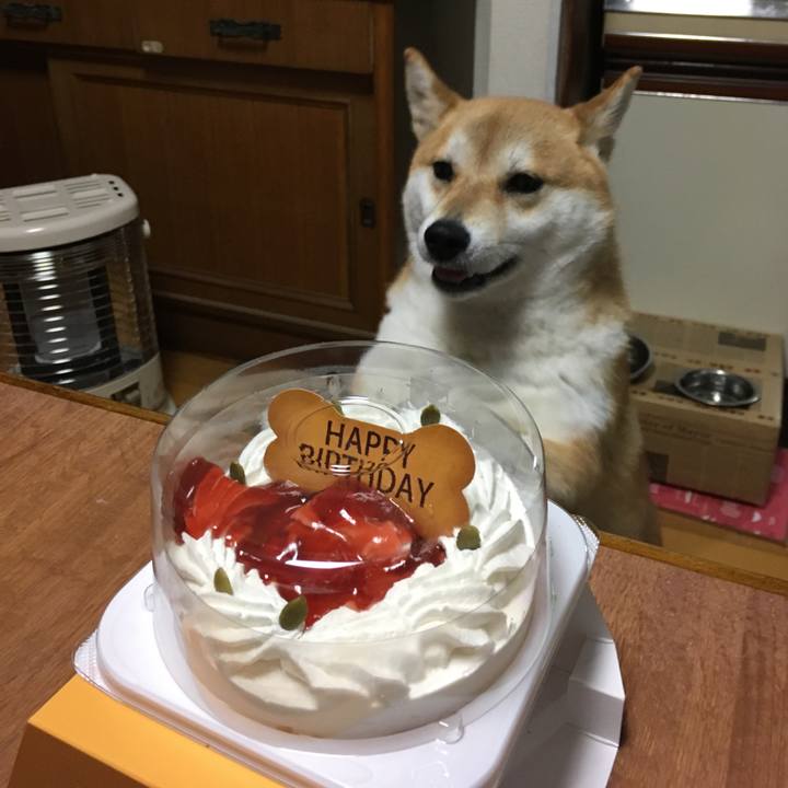 2ce882f2 c044 4400 b77d b0af7fa1dc50 1510393447013