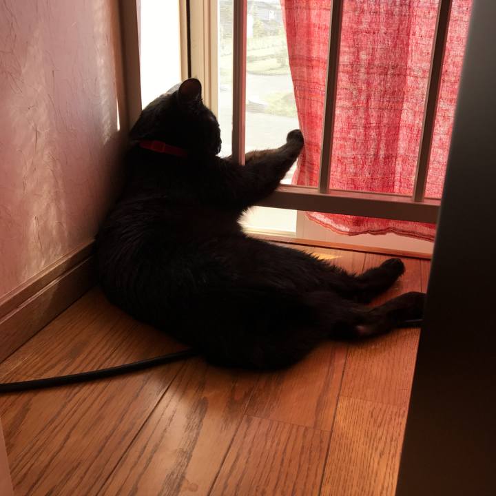 2ce8a4a9 8d6c 43e7 a572 545e1a1ad066 1510058545490