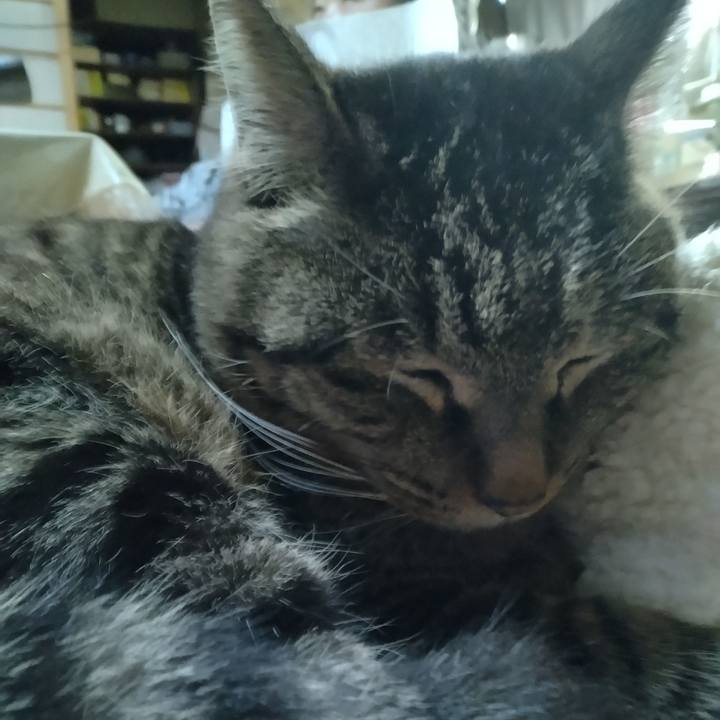 2ce8ac50 7402 4e7d aab2 4922a3674ead 1676117085909