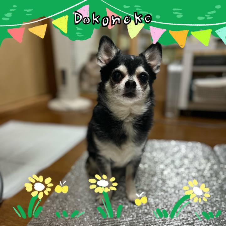 2ce8de45 eda9 4476 b837 82417f4d1eea 1710986601867