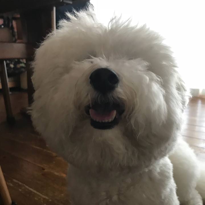 2ce9334f 7ac6 4e4c 8aea ad8f860bdd34 1527237670381