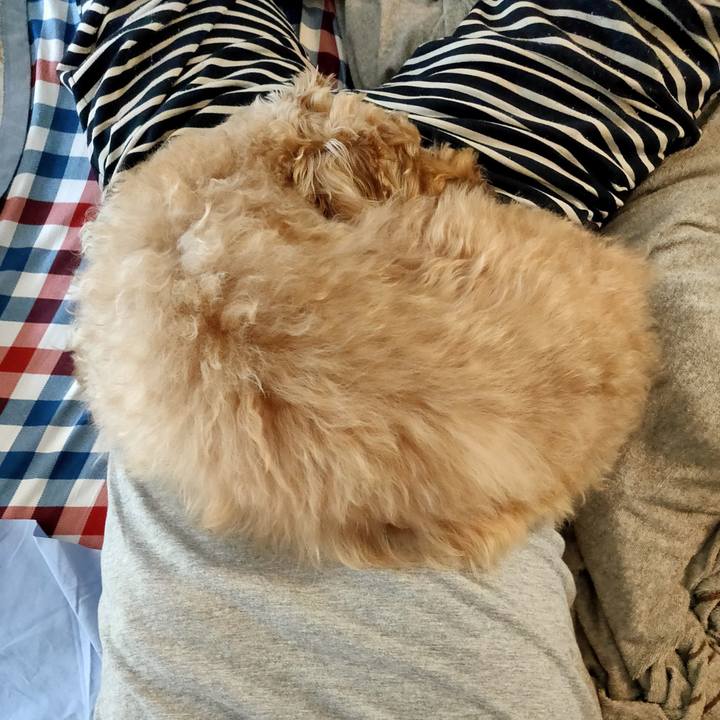 2ce9e346 5c6e 451e 8aee c57bb2fcab3b 1591874437165