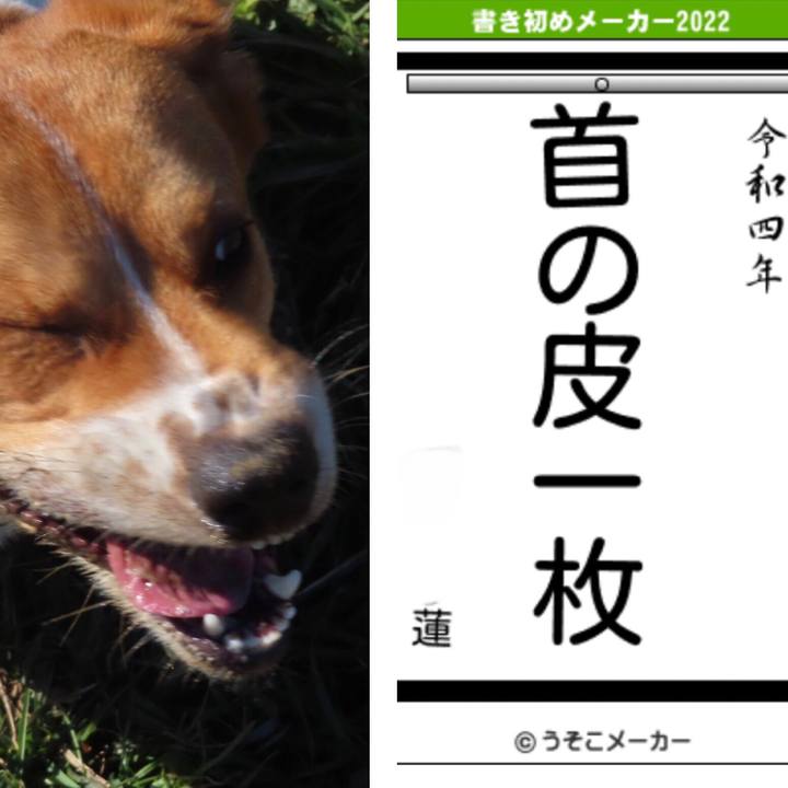 2ce9fa4d ec38 4d32 a896 930bad3adada 1641178841546