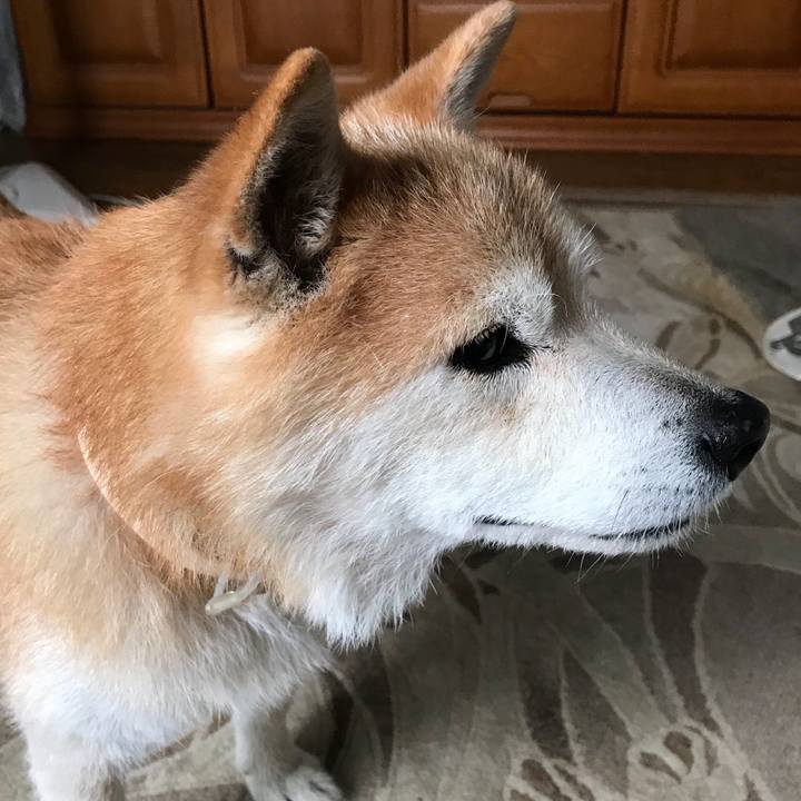 2ce9fea7 8d0c 4ecc 81d3 59d5d695cb1b 1767593549500