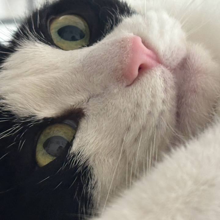 2cea212f 56cf 49d6 a019 f360ada8071e 1758154200439