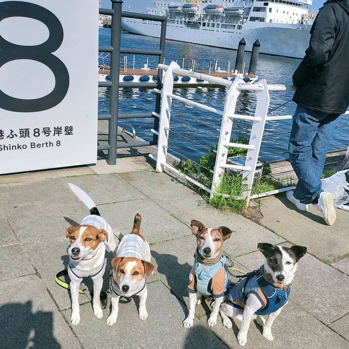 2ceac3e7 6e1d 4186 a639 21ed1fd3e28e 1774084027562