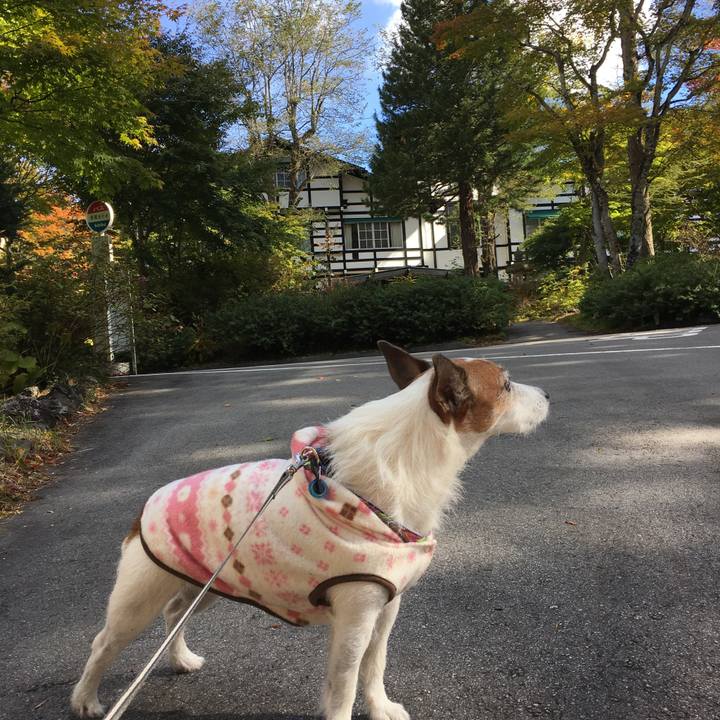 2ceb0ec2 30fd 4a1e ae45 54f13c19864e 1635117832050