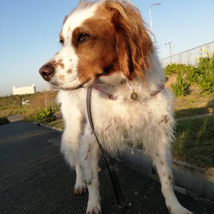 2ceb25cf d783 46e5 a1f8 e6f0c6f235e5 1574035390560