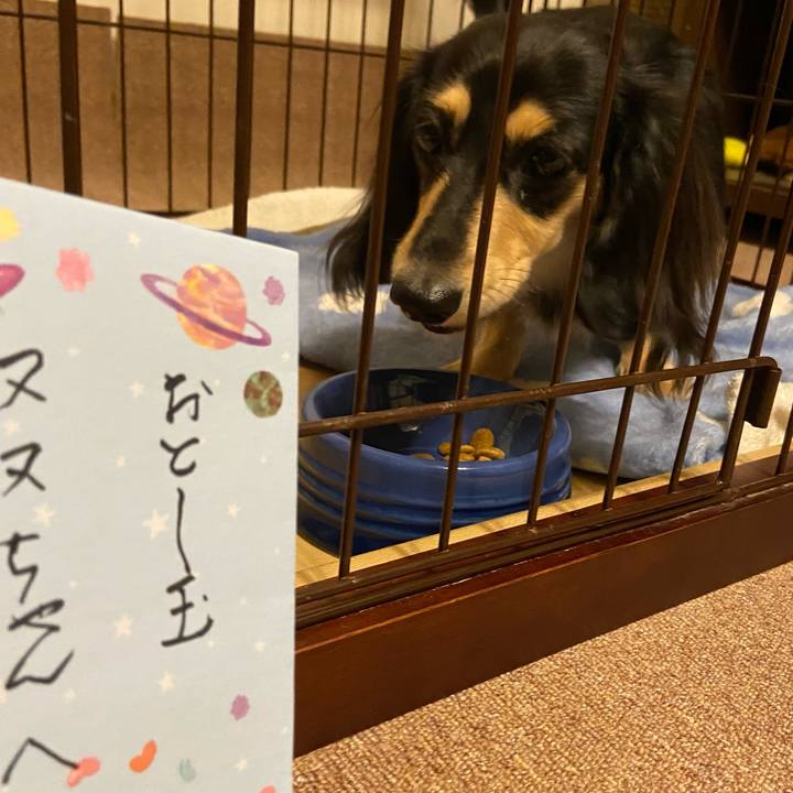 2ceb5558 571e 408b 9775 8cd36626d9dc 1704196730274