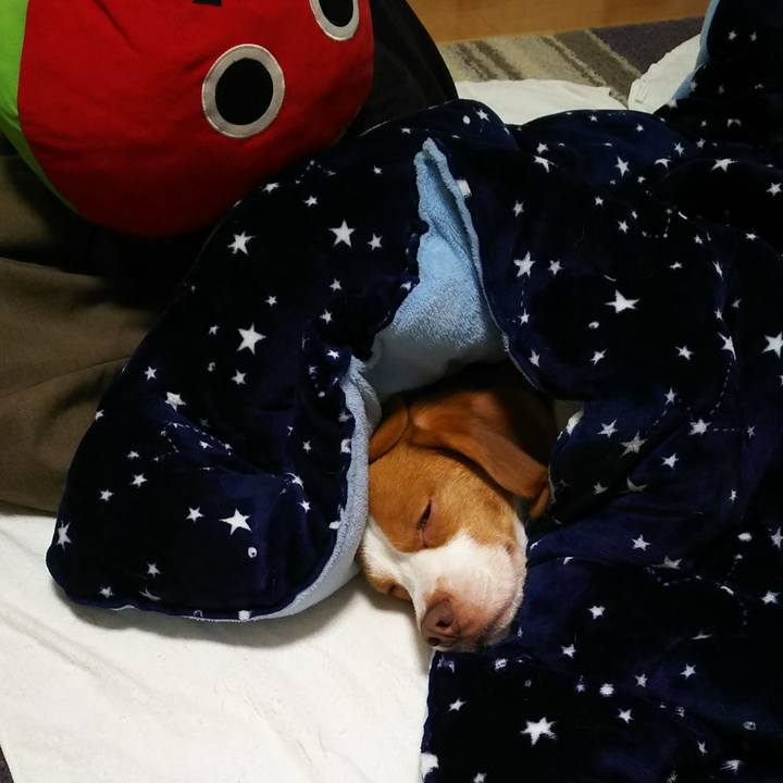 2ceb6688 4b53 4305 8c66 6343906c3b63 1554130524186