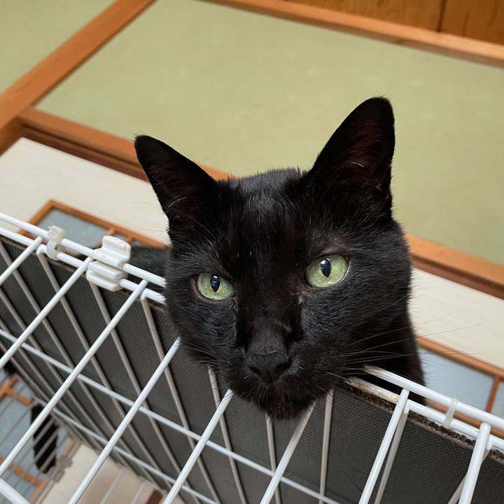 2ceba11d 8339 442e 92c1 906153f0117c 1624671811368