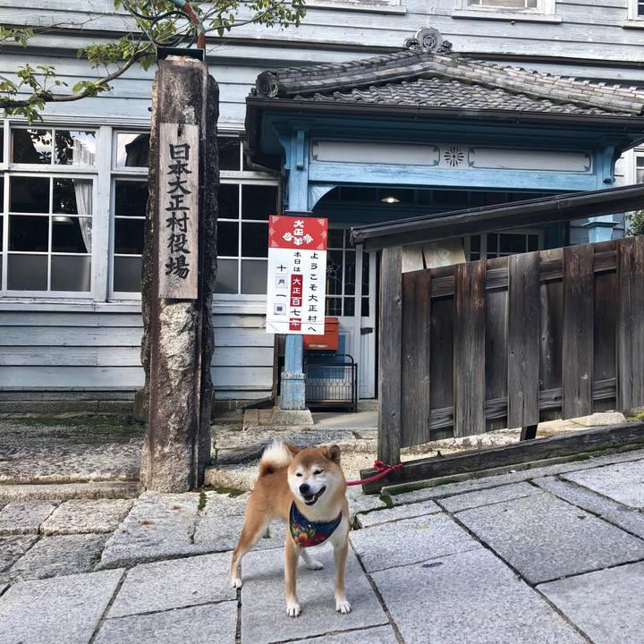 2ceba4ac 211e 44d0 ac88 5a4debd42875 1538388044171