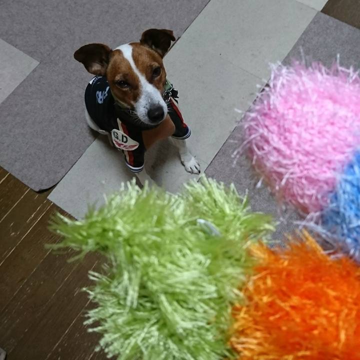 2cebbabe 5ca7 480d b4b2 572c2d80b542 1610518905137