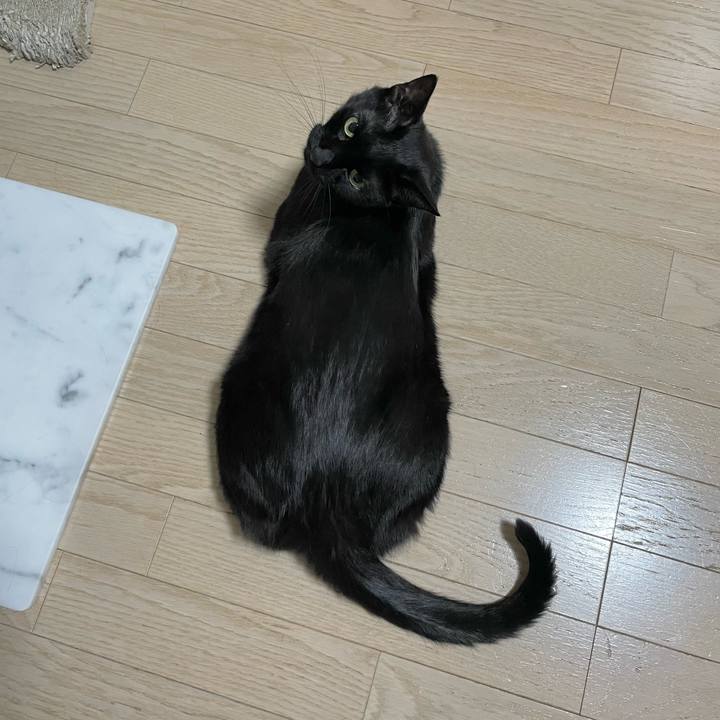 2cebef2f 26d0 449e ba86 d5dbbef8b6c5 1657115327003