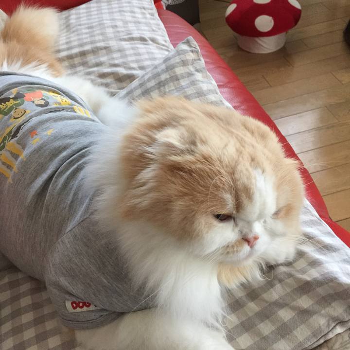 2cec0165 2be7 441c 92ff 952a0ffc5fb1 1548572682409