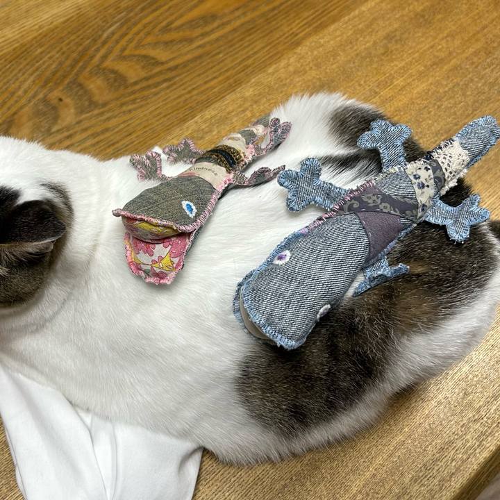 2cec7ec4 7ff5 4d86 99b4 813d8038e873 1689332307656